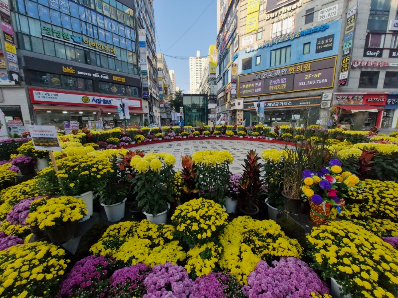 KakaoTalk_20251002_135342275_03.jpg